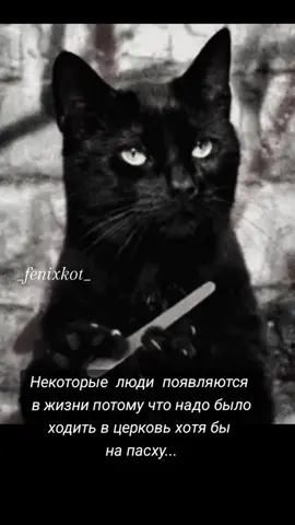 #феникс🐦‍🔥 