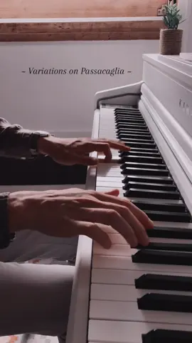I’ll never get tired of playing this piece… 💭🌌🎶 (better with headphones 🎧) #passacaglia #handel #piano #pianocover #pianotok 