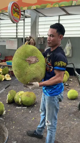 25 kg. Giant jackfruit sliced with skill. 🔪 . Shop name: เจริญทรัพย์ (จำหน่ายขนุน) 📍Location: Si Mum Mueang Market, Pathum Thani,Thailand 📲: 085-8523896, 099-9151855, 064-7476737 #asmr #foodland #fruit #jackfruit 