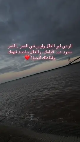 #شعب_الصيني_ماله_حل😂😂 #عبارات #ترند #سوريا🇸🇾 @حـــمــ💘ـــزه @🫀𝟓𝟏𝟓 _ 𝐌𝐀𝐅𝐈𝐀 @515•GHOST🇸🇾 