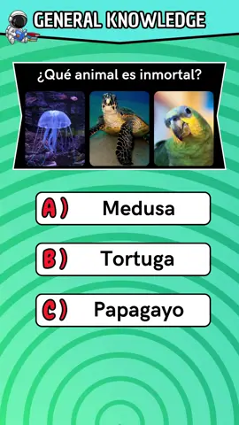 Cultura general! #culturageneral #preguntasyrespuestas #adivinanza #preguntas #trivia #knowledge #generalknowledge #quiz #quiztime 