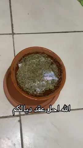#المغرب🇲🇦تونس🇹🇳الجزائر🇩🇿 #عيشة_الميمة🤍 #حمادي_ليهودي🔯💸🍾💷🕎✡ #tik_tok 