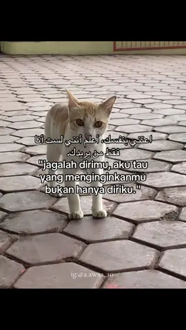 #masyaallahtabarakkallah #fyppppppppppppppppppppppp #qoutesarabic #allahummabarik #fypシ #bismillahfyp #foryou #santri #sekumpulmartapura❤️❤️ #fypシ゚viral #masukberanda #fypppppppppppppp #arabicsong #katakata #qoutesarabic 