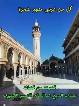 كل من غرس منهم شجرة #الجميع #صلوا_على_رسول_الله 