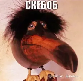 #fyp #хахахаха #скебоб 