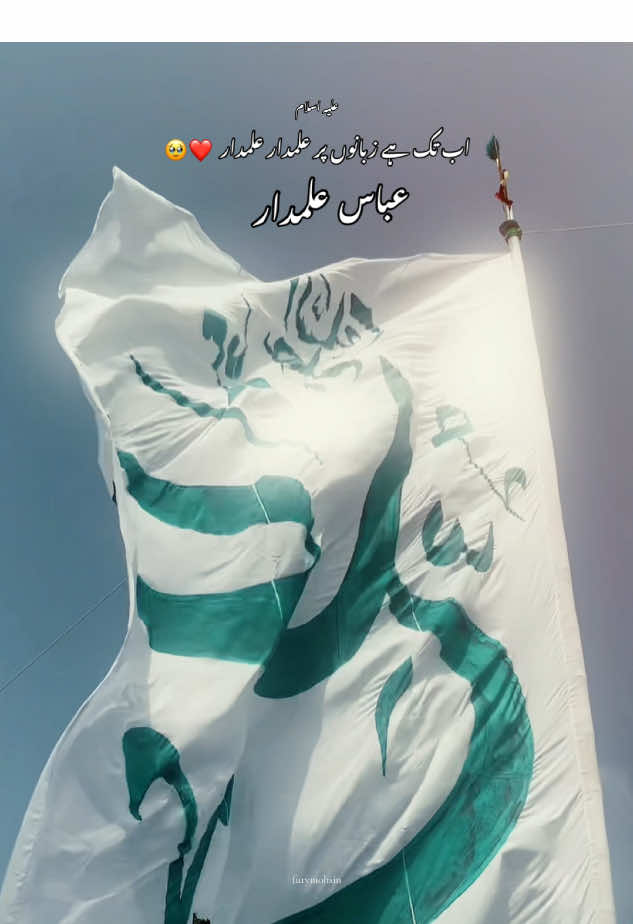 Ab Tak Hai Zabanon Per Alamdar Alamdar ❤️ #karbala #alamdar #fyp #foryou #shia #fyp #standwithiran 