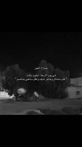 #fyp #اكسبلور 