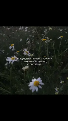 #рекомендации#рек#щитпост #репост#дружба#подруги#лп  #друзья#любовь#отношения  #вайб#лето#кино#пачкасигарет 