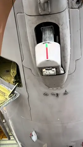 B737 tail skid system explained  Shoutout to @_jose_martinezz_  for the tail skid footage.  #stigaviation #b737 #boeing #tailskid 