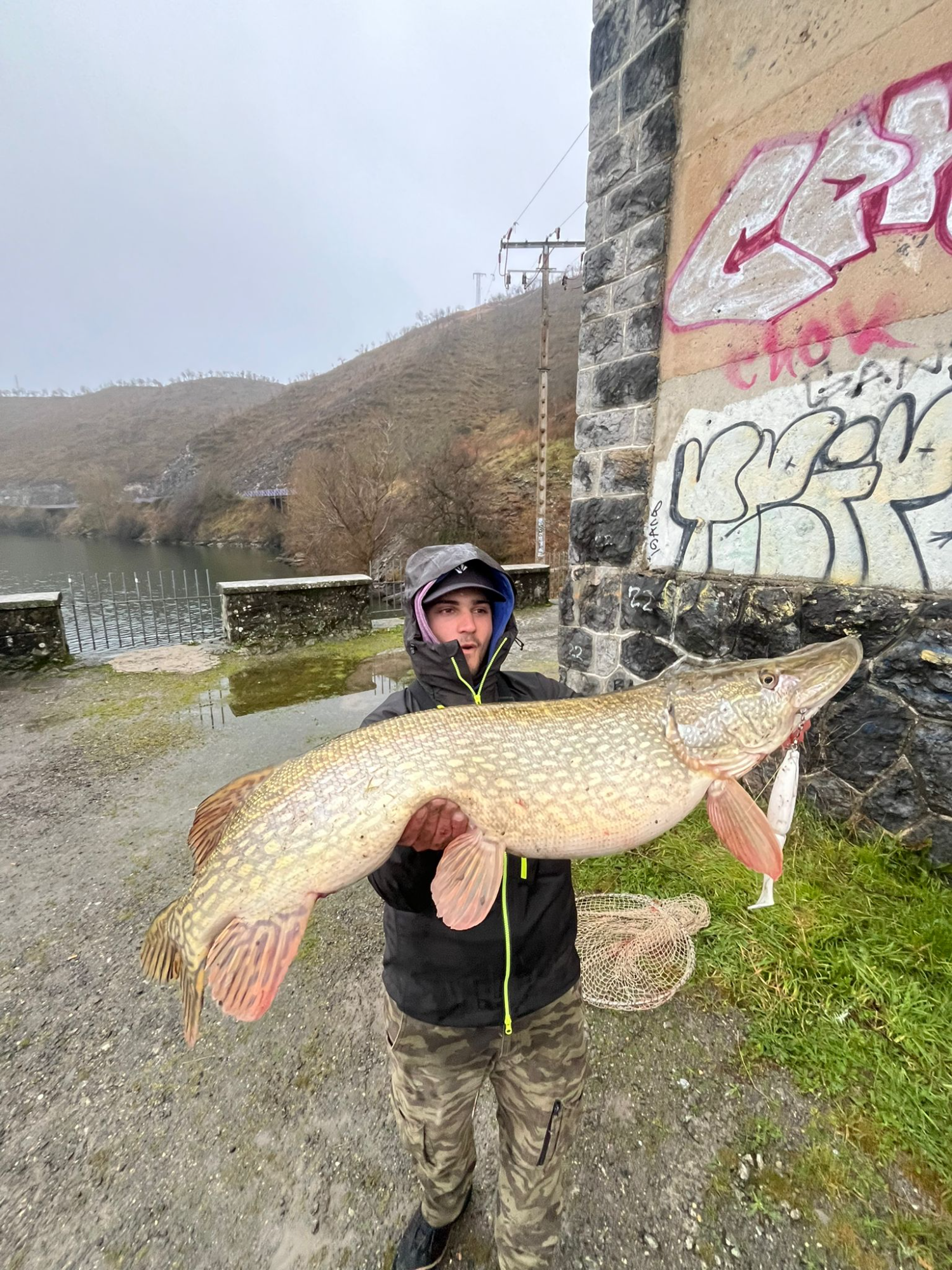 Monsters!!! #lucio #pike #zander #capturaysuelta #catchandrelease #pantano #predator #shimano #fish #spinning #lucioperca #pescaesportiva #depredador #siluro #parati #fyp #bipike #menudo2025