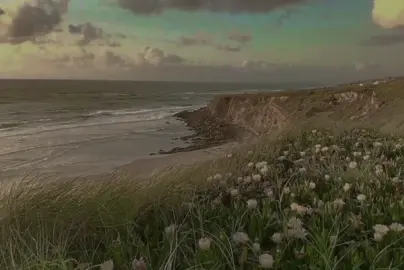 song Billie eilish wildflower  #BillieEilis#Wildflower#lyricsvideos#LyricsVide#FYP#aesthetic#naturevibes 