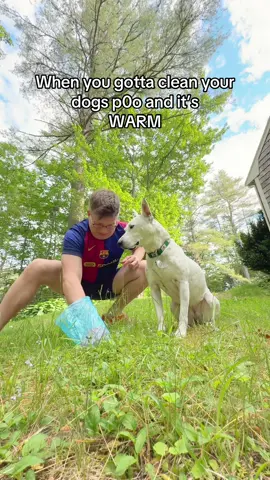 And soft…#dog #dogs #meme #wtf #meme 