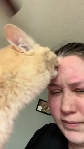 I just kind of let it happen…🤷🏻‍♀️ #cat #catsoftiktok #catmom #corncob #orangecatbehavior #orangecatsoftiktok #peaches #fyp #Summer #freckles #funnycat 