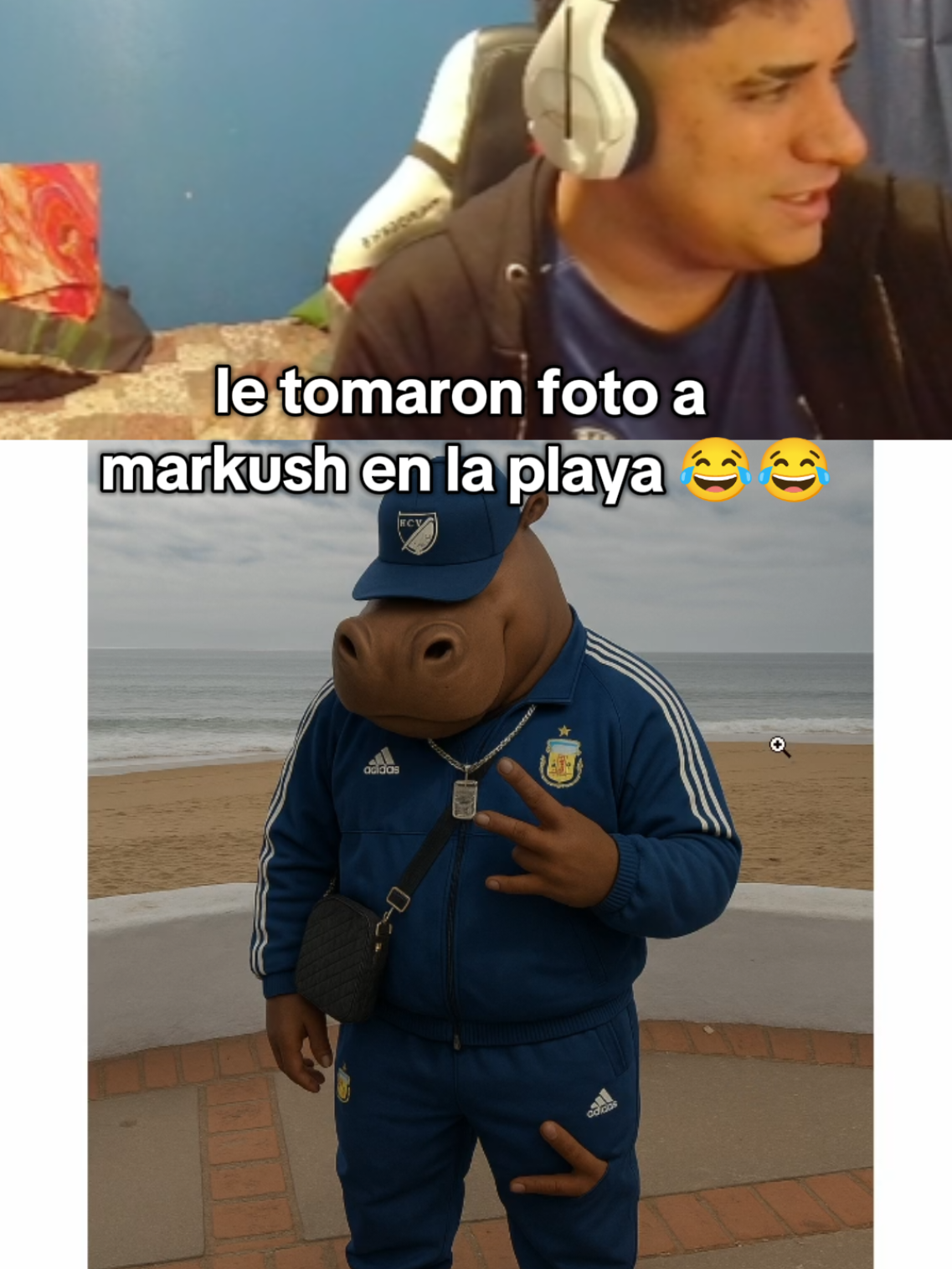 ugualio a markush #markush #chile #humor #paratiiiiiiiiiiiiiiiiiiiiiiiiiiiiiii #gracioso #kick #playa #animal #foto 