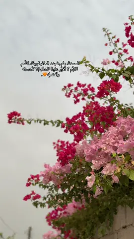 #fypシ゚viral #fy #خواطري_المبعثرة #اقتباسات #عبارات #fyp #خواطر #viralvideo 
