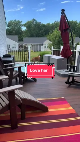 #dogmom #dogmomlife #dog #dogsoftiktok #doglover #boxer #boxerdog #boxerdogsoftiktok 
