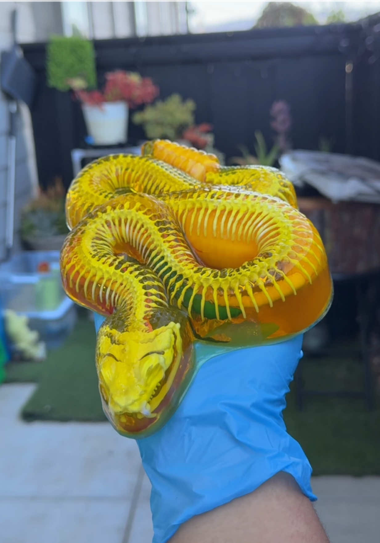 Snake unboxing #bloxfruits #bloxfruit #bloxfruitsroblox #robloxfyp #lego #mrbeast #minions #Minecraft #fnaf #doors #stumbleguys #fyp #fypシ #skibiditoilet #LifeHack #unboxing #onepiece #AmongUs #trigongm 