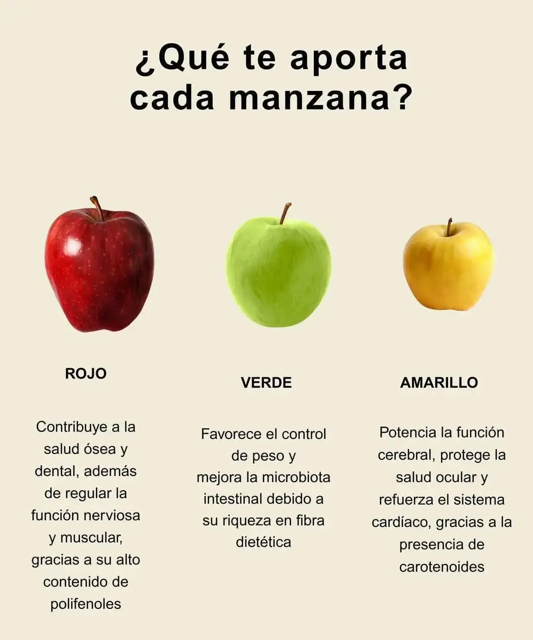 ¿Qué te aporta cada manzana? 🍎🍏🍐 🍎 Roja Apoya la salud ósea y dental, regula el sistema nervioso y muscular por su alto contenido en polifenoles. 🍏 Verde Ayuda a controlar el peso y mejora la microbiota intestinal gracias a su riqueza en fibra dietética. 🍐 Amarilla Fortalece el cerebro, protege la vista y el corazón por su aporte de carotenoides. 🌿 ¡Incorpora variedad en tu dieta para aprovechar todos sus beneficios!#guatemalteco❤️🇬🇹 #internacional🇺🇸 #florida 