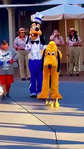 Disneyland funny moments,stitch edition.#disneyland #disneyfunnymoments 