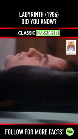 Michael Moschen is AWESOME at what he does! #labyrinth #labyrinth1986 #labyrinthmovie #davidbowie #jimhenson #jenniferconnelly #michaelmoschen #tobyfroud #brianhenson #frankoz #shariweiser #karenprell #warwickdavis #davidshaughnessy #nataliefinland #shelleythompson #anthonyasbury #christophermalcolm #80smovie #80smovies #scottneumyer #didyouknowthis #didyouknowthat #movietrivia #triviadude 