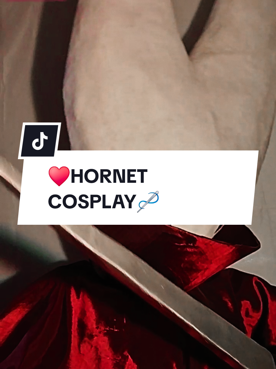 La primer vez que grabo, que miedo y vergüenzaaaa insta: Col.swam #cosplay #cosplayer #hornet #hollowknight #hollowknightsilksong #hollowknighthornet 
