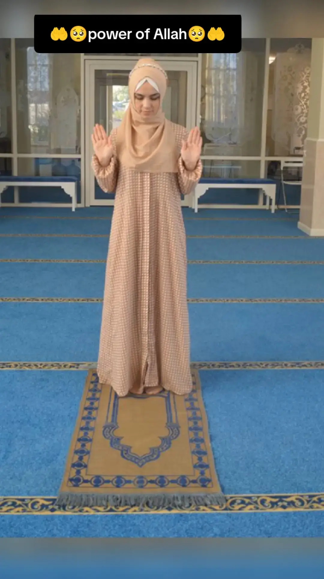 🤲🤲🤲🤲🤲🤲🤲🤲🤲🤲🥺🥺🥺🥺🥺🥺🥺🥺🥺🥺🥺🥺