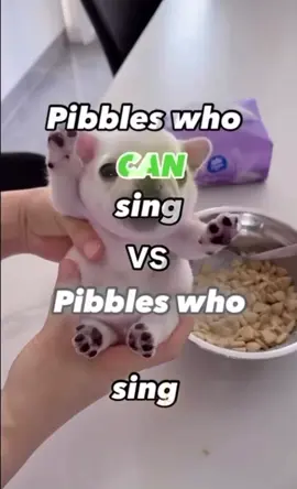 #pibble #cute #job
