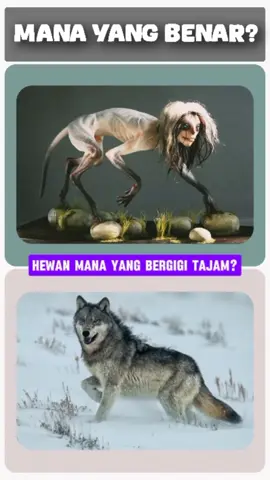 WUIHH MENGERIKAN 🙀💀 #fyp #anomali #brainrot #tebakhewan #fyppppppppppppppppppppppp #quizz 