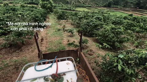 🥹