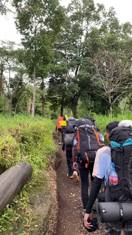 lagi panas panas nya ni liat org bawa carrier #foryoupage #pendakigunung #gunungindonesia #masukberandafyp #pendaki #pendakifomo 