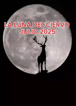 LA LUNA DEL CIERVO 2025 #paratiiiiiiiiiiiiiiiiiiiiiiiiiiiiiii #Viral #CapCut #laluna #lunadelciervo  #eclipse #lunallena 