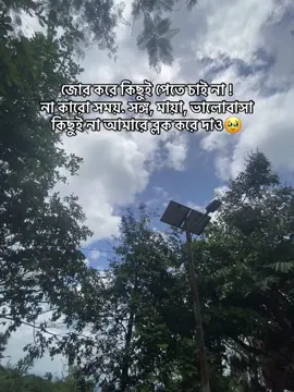 জোর করে কিছুই পেতে চাই না ! না কারো সময়. সঙ্গ, মায়া, ভালোবাসা কিছুই না আমারে ব্লক করে দাও🥹