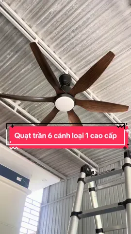 Quạt trần 6 cánh ABS loại 1 cao cấp . Mẫu quạt mọi người đang ưa chuộng . #quạt #quattran #quattranden #quattrancaocap #quattran6canh #nhà #xuhuong #cuahanghoangtruongled 