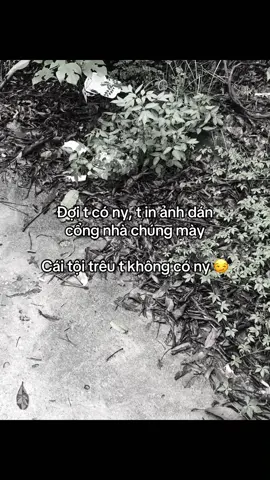 chúng mày đợi đi 😏#9th12_08🧸 #fyp #tamtrang #ddnxuhuong @phuong minh. 
