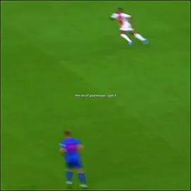 Pt1 | Arte Do Goleiro 🧤🔥  #theartofgoalkeeping #edit #defesas #football #drz #viral #fyp 