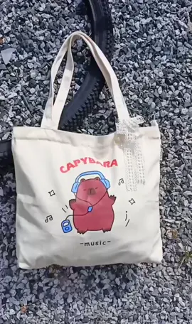 Túi tote túi vải canvas phong cách hàn quốc  #xuhuongtiktok #hottrend #tuixinhtuidep #tuixinhdaopho #tuixachnu #vicamtaynu #tuixachquangchau 