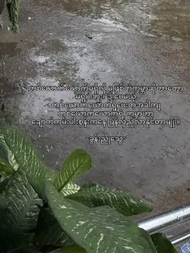 @H's 🤎#fyp #ခွန်းညိုသွေး #fypageシ #quotes #crdစာသား 