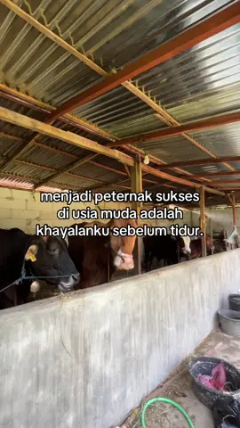 dongakne anakmu buk😌 #peternakmuda #ternaksapi #peternakan #suksesbutuhproses #foryoupage #fypage 