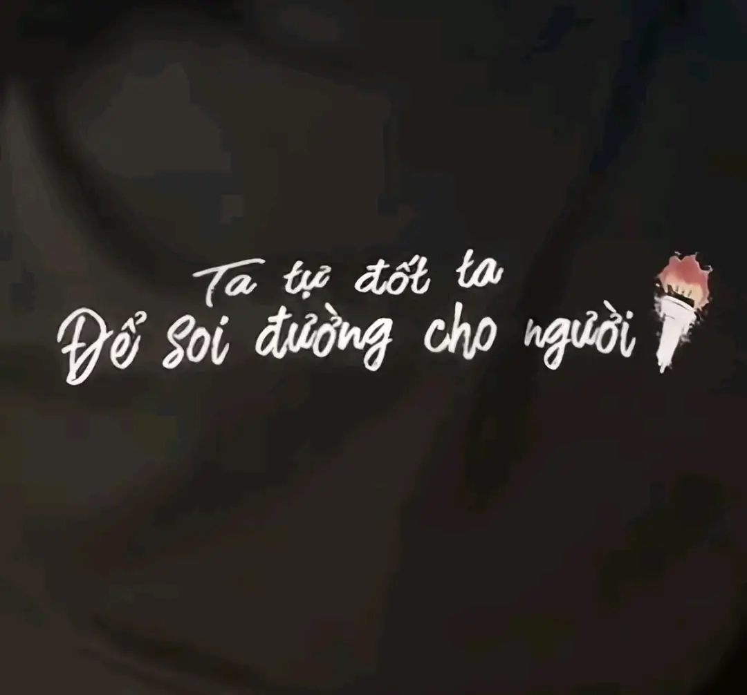 #ptd33 #phantronggduong33 