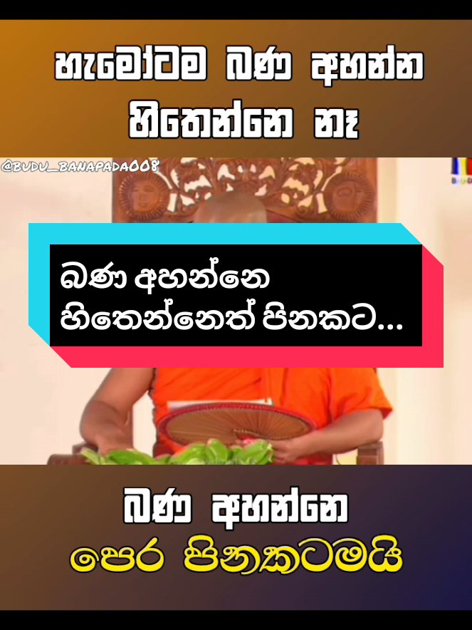බණ අහන්නෙ හිතෙන්නෙත් පිනකට... #ven_hadigalle_chandhaloka_thero #budu_banapada008 #weemansa #the_buddhist_tv 