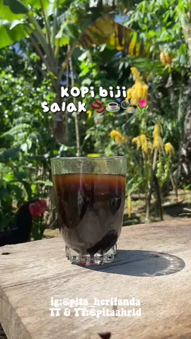 biji salak jadi kopi☕️🫧 #pitaahrld #minivlog #kopibijisalak 
