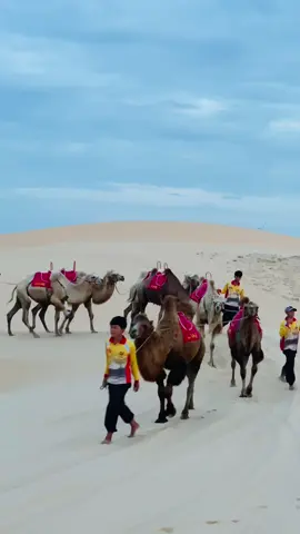 Jeeptour mũi né bàu trắng hỗ trợ tạo dáng chụp ảnh #jeeptour #bàutrắng #chụpảnh #xediahinh #đồicáttrắng #muinephanthiet #phanthietcity #lạcđà 