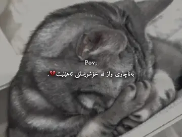 🖤.. #foryoupage #foryou #fyp #fy #explore #kurdish 