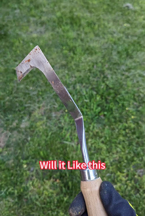 Oh my god! I don’t want a tool like this! #weeding #garden #fyp 