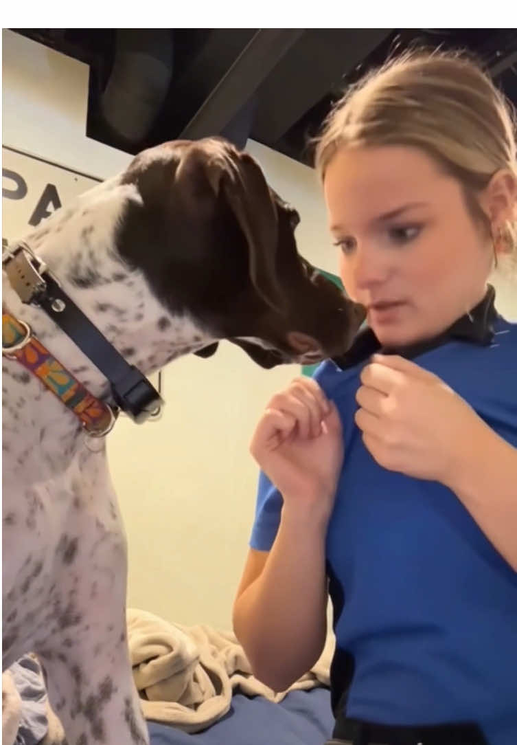 When I suddenly kissed the dog. €#dog#dogs#dogsoftiktok #funny #for #foryou #fyp #foryoupage #funnyvideo #cute #pet #usaus#usa #usa🇺🇸 