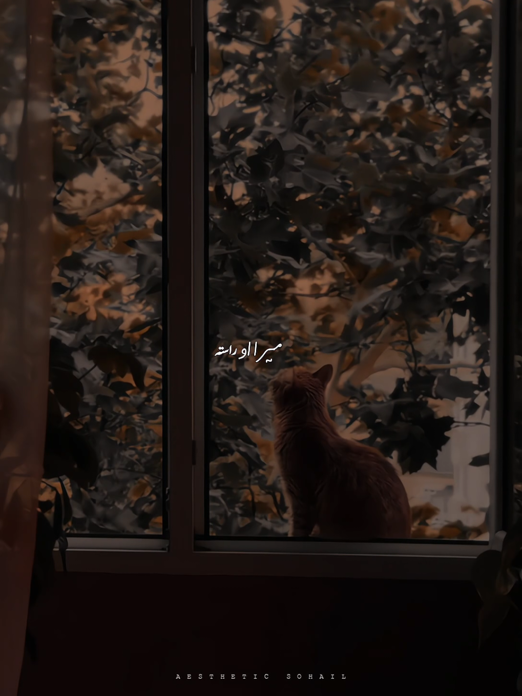 tera mera safar 🤍👀 #aestheticvideos #songs #grow #foryou #foryoupage #viral 