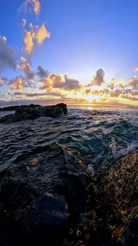 Ocean Therapy 💙🙏🏻  #ocean #australia #gopro #goproanz 
