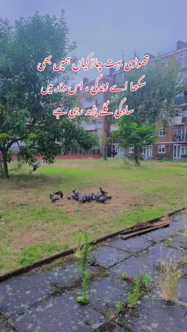 Log مکار hain bht 😉#foryou #foryoupage 