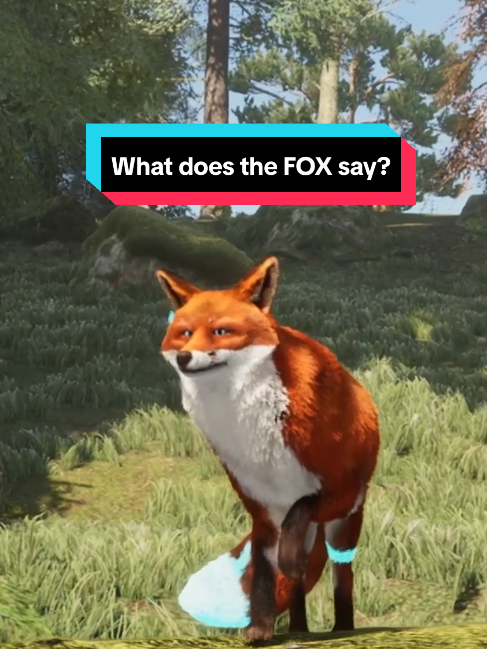 🦊: “Mic check 1, 2.” 🦅: “Which audition program are you applying for?” #whatdoesthefoxsay 