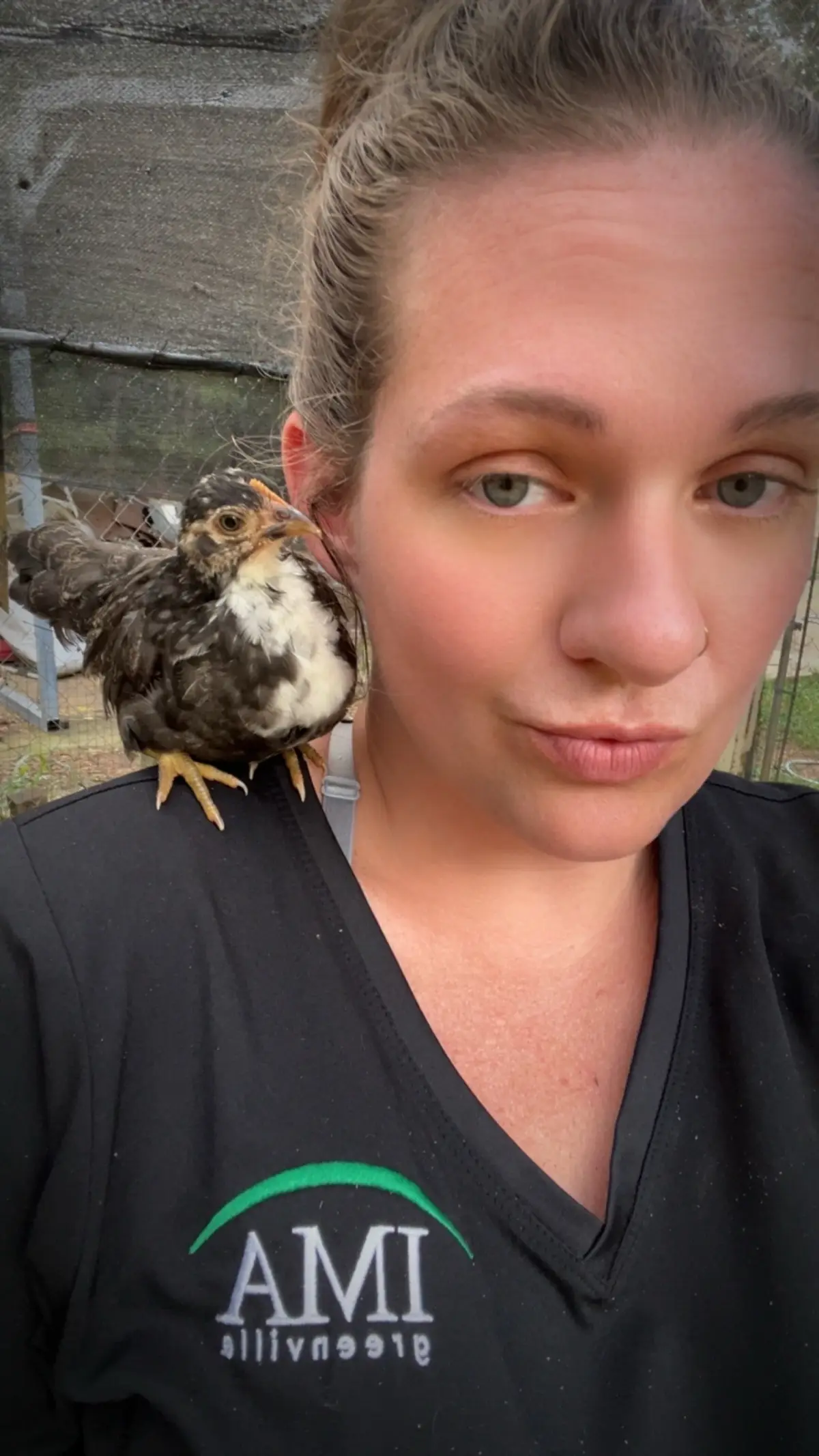 She is definitely the cutest 😍 #serama #chickens 